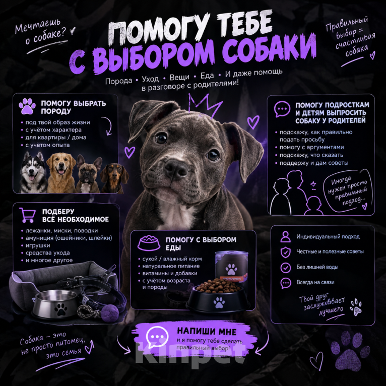 Собаки в Москве: Помогу выбрать собаку,уход и др Мальчик, 100 руб. - фото 1