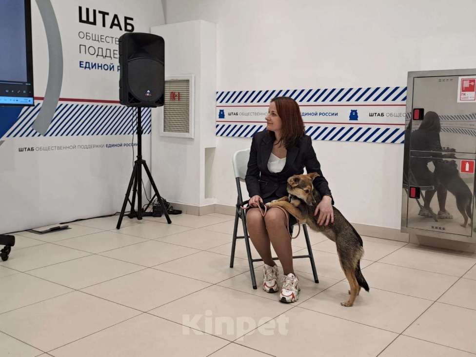 Собаки в Воронеже: Маленькая собачка в добрые руки  Девочка, Бесплатно - фото 5