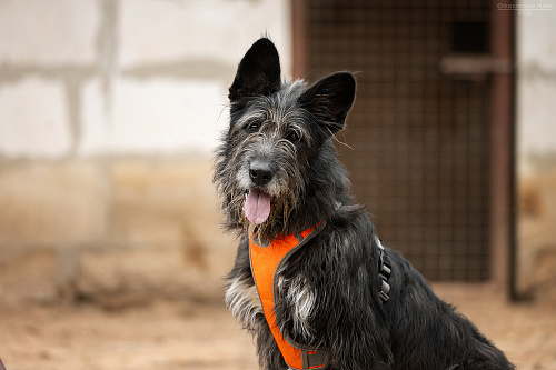 она займет всё место в вашем сердечке