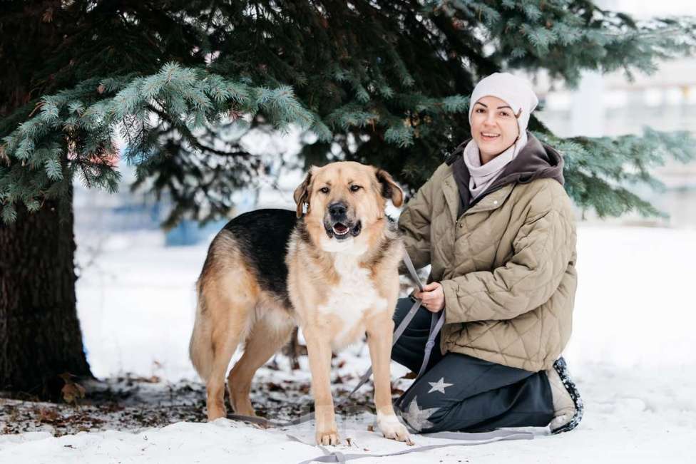 Собаки в Москве: Дынечка - плюшвый мишка в добрые руки! Мальчик, Бесплатно - фото 6