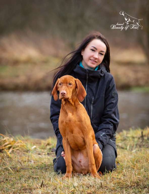 Собаки в Ярославле: Beauty of Fire Unison  Мальчик, 90 000 руб. - фото 10
