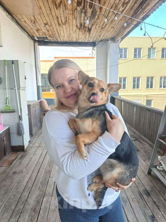 Собаки в Москве: Маленькая собачка, 7 кг в добрые руки! Девочка, Бесплатно - фото 6