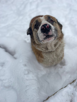 Мальчик средний