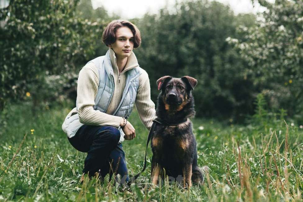 Собаки в Москве: Конар Мальчик, Бесплатно - фото 4