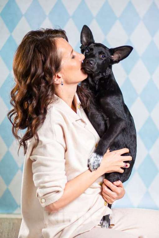 Собаки в Москве: Самый добрый щенок Лазарус — жертва жестокого обращения Мальчик, 1 руб. - фото 5