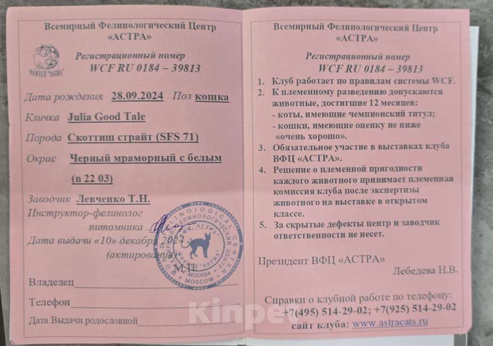 Кошки в Москве: Отдам кошку в хорошие руки Девочка, 5 руб. - фото 5