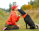 Собаки в Ореховом-Зуево: Агат в надёжные руки Мальчик, Бесплатно - фото 6