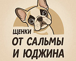 Собаки в других городах Ямало-Ненецкого автономного округа: Идеальный компаньон Девочка, Бесплатно - фото 6