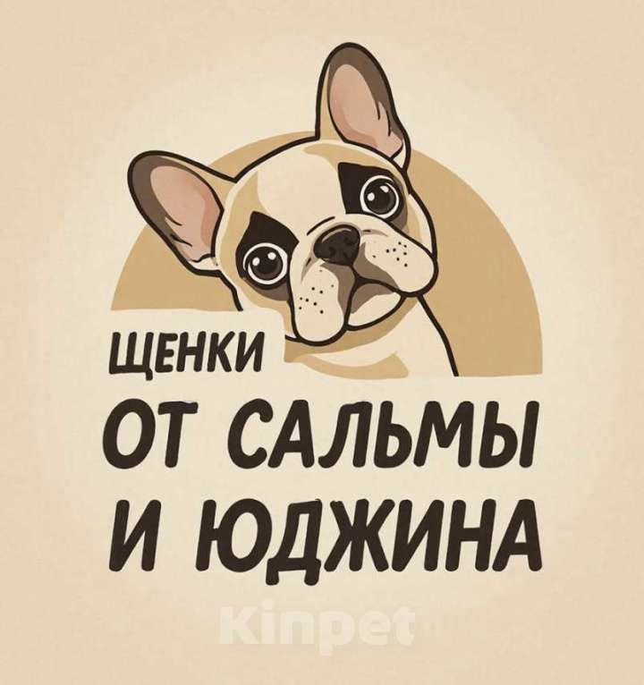 Собаки в других городах Ямало-Ненецкого автономного округа: Идеальный компаньон Девочка, Бесплатно - фото 6
