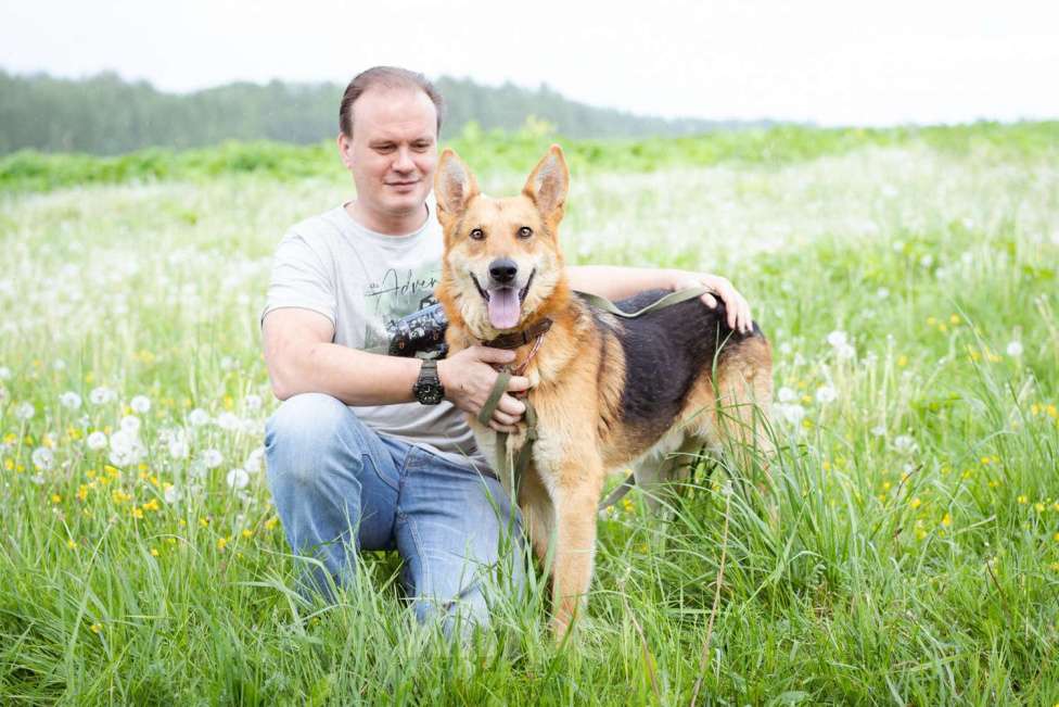Собаки в Москве: Ласковый мальчишка в добрые руки! Мальчик, Бесплатно - фото 5