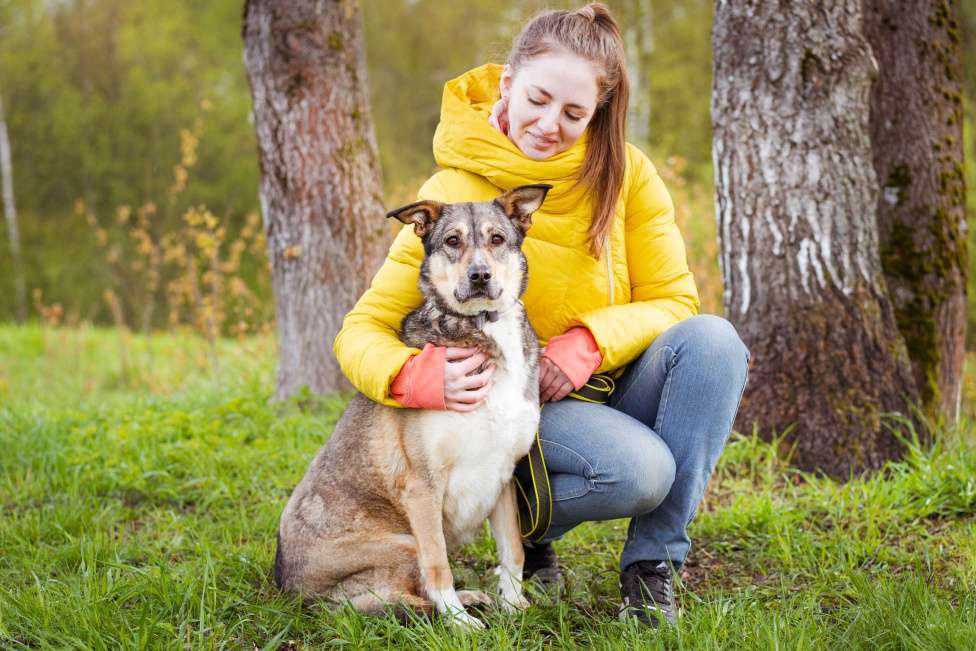 Собаки в Москве: Собачка на трёх лапках ищет дом Девочка, Бесплатно - фото 6