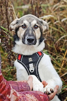 Меня зовут Том и я ищу семью, где буду любим и счастлив