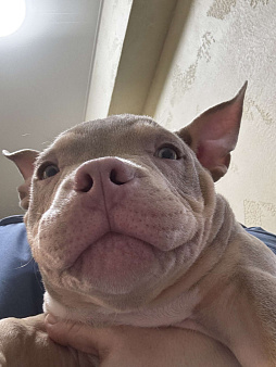 Красивый мальчик