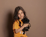 Собаки в Москве: Мальтипу Девочка, 120 000 руб. - фото 6