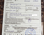 Собаки в Санкт-Петербурге: Тэффи в шоколаде ждёт Вас чихуахуа Девочка, 50 000 руб. - фото 10