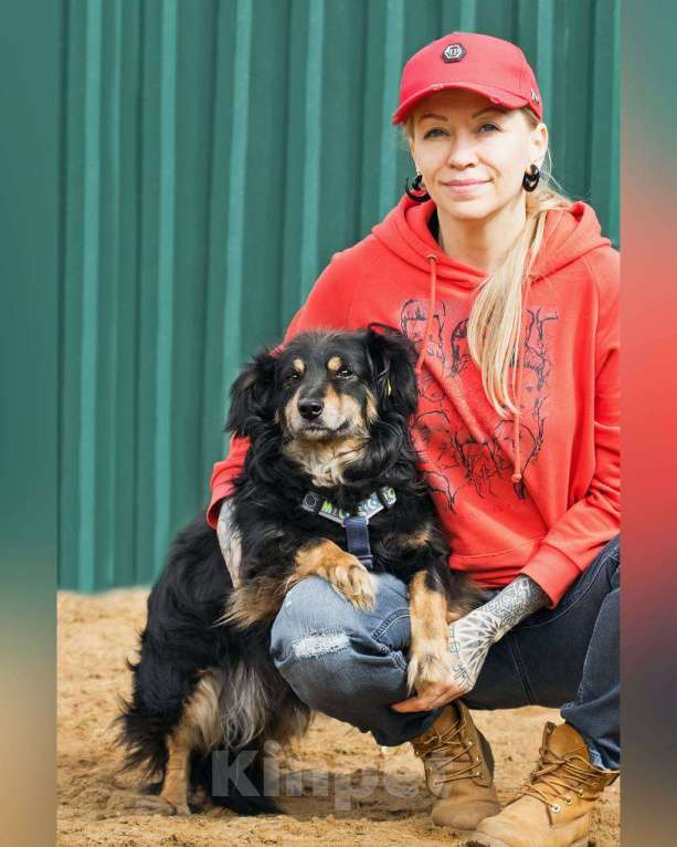 Собаки в других городах Московской области: Добрейший маленький Харви ищет дом Мальчик, Бесплатно - фото 8