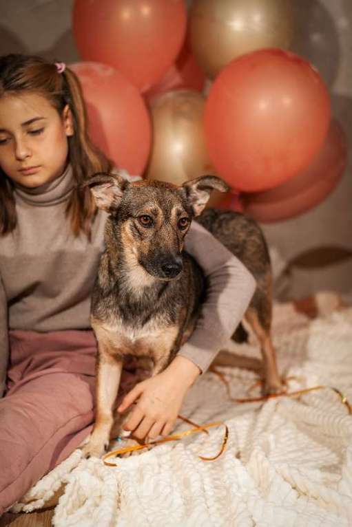 Собаки в Москве: Коротколапик Тэджи (10 кг) ищет дом Девочка, Бесплатно - фото 1