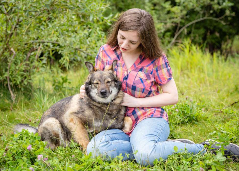 Собаки в Солнечногорске: Небольшая, спокойная собачка в дар Девочка, Бесплатно - фото 1