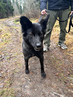 Найдена Балашиха 