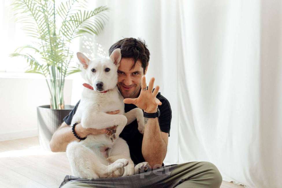 Собаки в Москве: Снежинка щенок Девочка, Бесплатно - фото 10