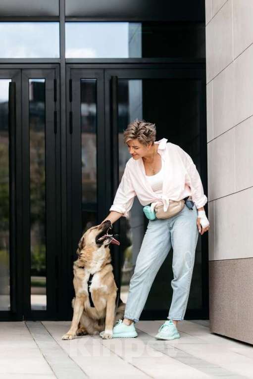 Собаки в Москве: Дынька ждёт своего человека. Мальчик, Бесплатно - фото 8