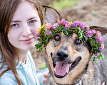 Собаки в Солнечногорске: Собака-улыбка из приюта в добрые руки Девочка, Бесплатно - фото 1