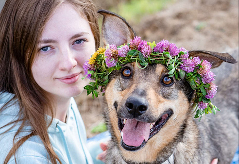 Объявление: Собака-улыбка из приюта в добрые руки, Бесплатно, Солнечногорск