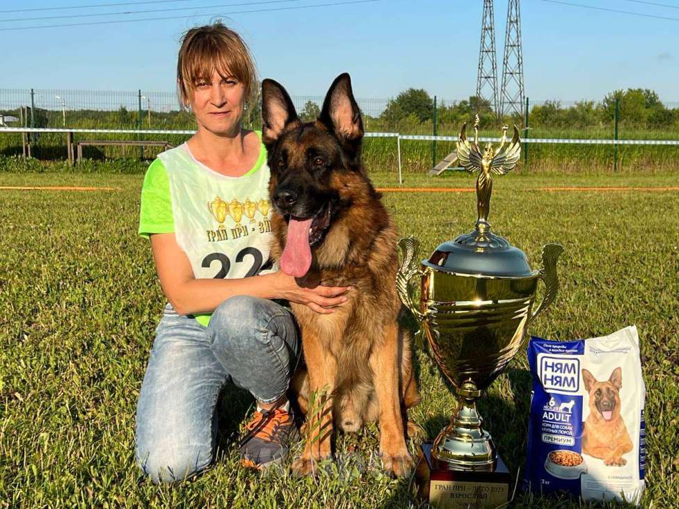 Собаки в Балашихе: Вязка. Немецкая овчарка Мальчик, Бесплатно - фото 1