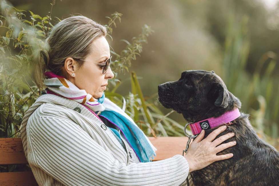 Собаки в Москве: Мудрая Миранда ищет дом Девочка, 1 руб. - фото 1