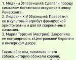 Собаки в других городах Московской области: Мальчик щенок Папильон Мальчик, 45 000 руб. - фото 9