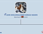 Собаки в Москве: Предлагается к продаже титулованный мальчик ККЧС Мальчик, 120 000 руб. - фото 5