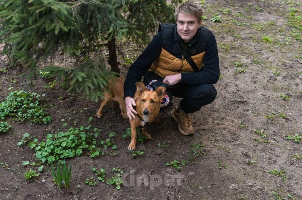 Собаки в Санкт-Петербурге: Красивый маленький воспитанный пёсик Мальчик, Бесплатно - фото 4