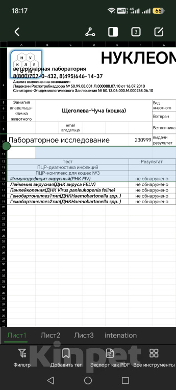 Кошки в других городах Московской области: Ищет добрые руки и сердце кошенька Девочка, Бесплатно - фото 9