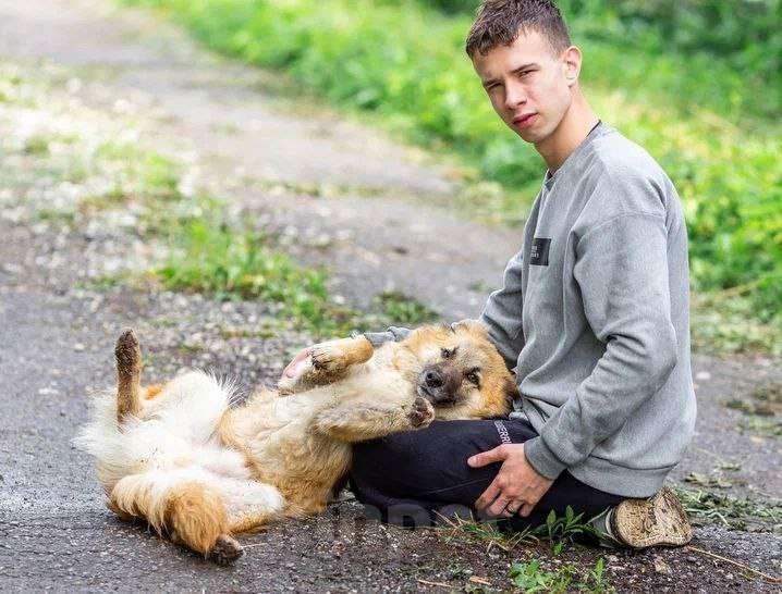 Собаки в Апрелевке: Собачий подросток, умничка и добряк Митька, 11 мес.  - в добрые руки Мальчик, 100 руб. - фото 5