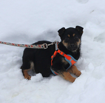 Маленькой красоточке Айке очень нужны дом и семья