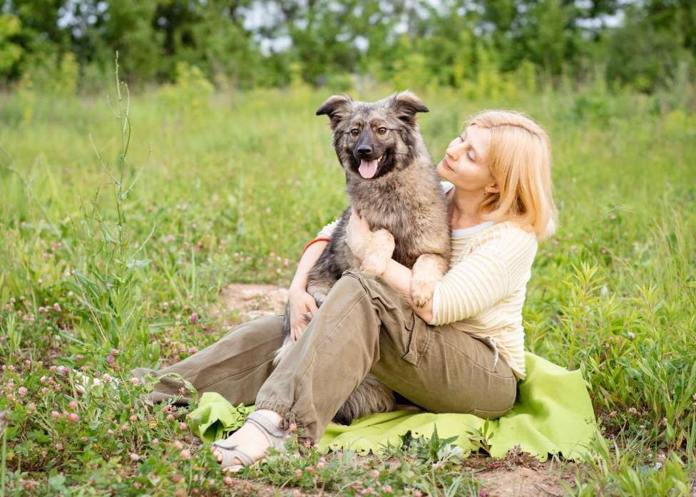 Собаки в Москве: Небольшая девочка из приюта ищет дом Девочка, Бесплатно - фото 8