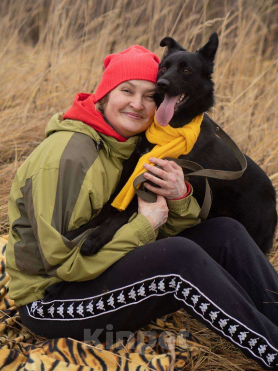 Собаки в Москве: Уголек очень хочет домой  Мальчик, Бесплатно - фото 4