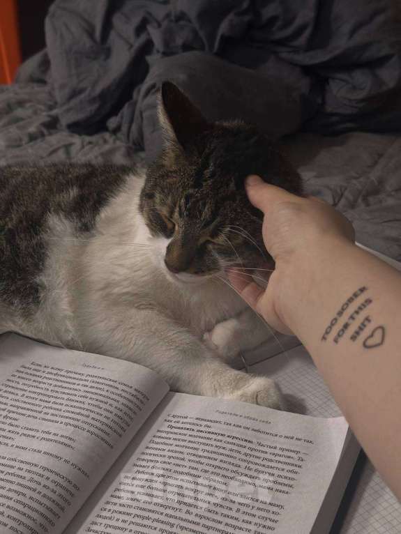 Кошки в Санкт-Петербурге: Отдам кота на передержку Мальчик, Бесплатно - фото 3