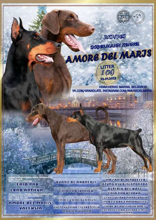 Собаки в Москве: Породные щенки Мальчик, 80 000 руб. - фото 1