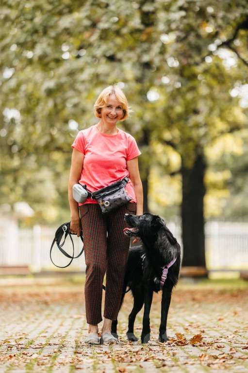 Собаки в Москве: Оскар - принц собачьего мира! Мальчик, Бесплатно - фото 6