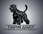 Собаки в Апшеронске: Русский Черный  Терьер щенки  Мальчик, 60 000 руб. - фото 2