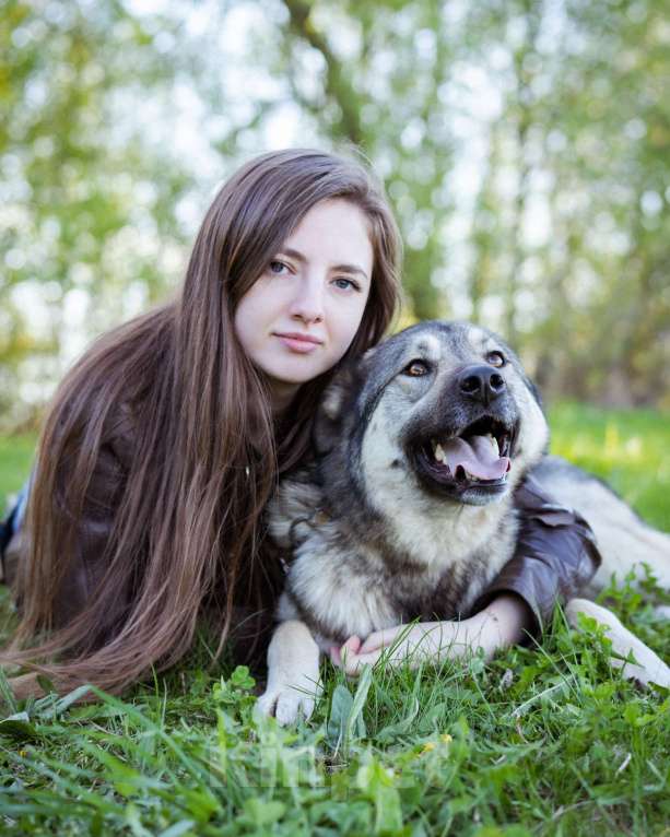Собаки в Москве: Соня - Самая преданная собака для своего человека Девочка, Бесплатно - фото 3