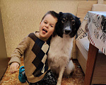 Собаки в Москве: В добрые руки Девочка, Бесплатно - фото 1