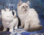 Кошки в Москве: Невский маскарадный котенок Кекс Мальчик, 50 000 руб. - фото 2