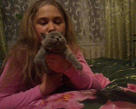 Кошки в Туле: Котята с документами!, 5 000 руб. - фото 3