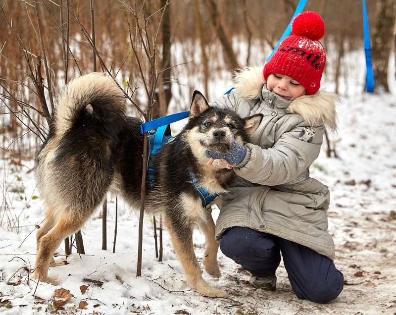 Собаки в Москве: Маленький ласковый пёсик Фуфик ищет дом Мальчик, 1 руб. - фото 1