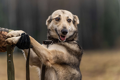 Кэти — невероятная обаяшка