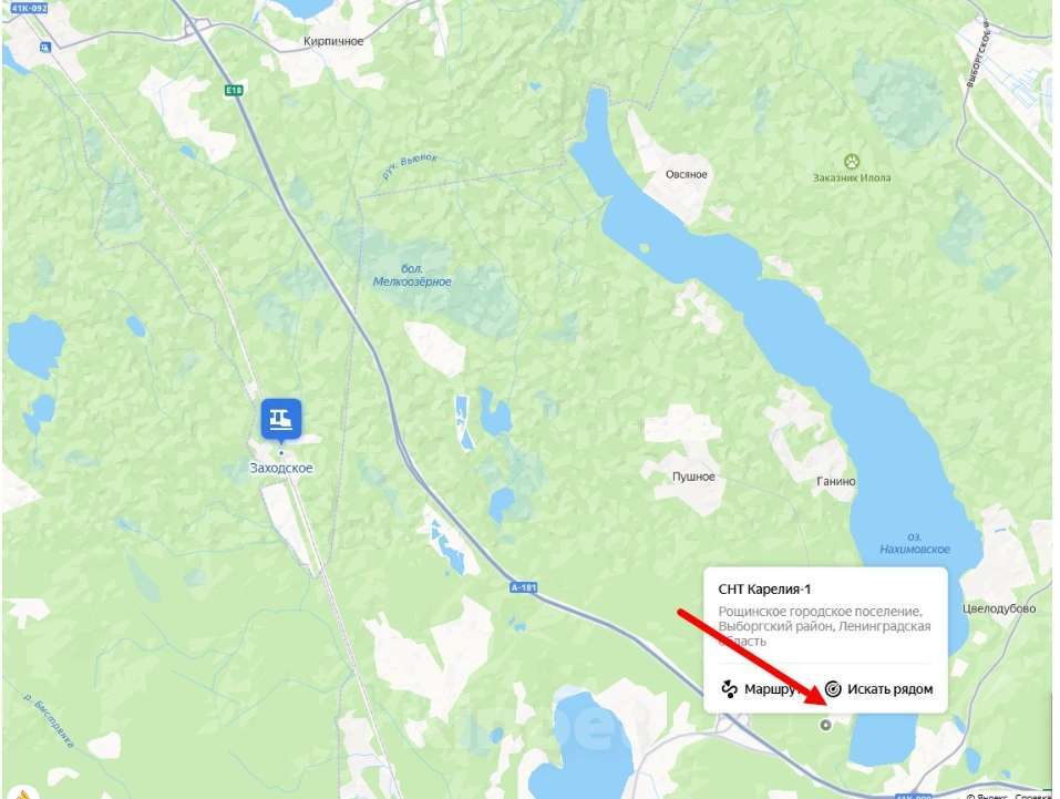 Кошки в других городах Ленинградской области: найден Мальчик, Бесплатно - фото 6