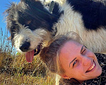 Собаки в Наро-Фоминске: Самый обаятельный и обнимательный: Гиджет Мальчик, Бесплатно - фото 10