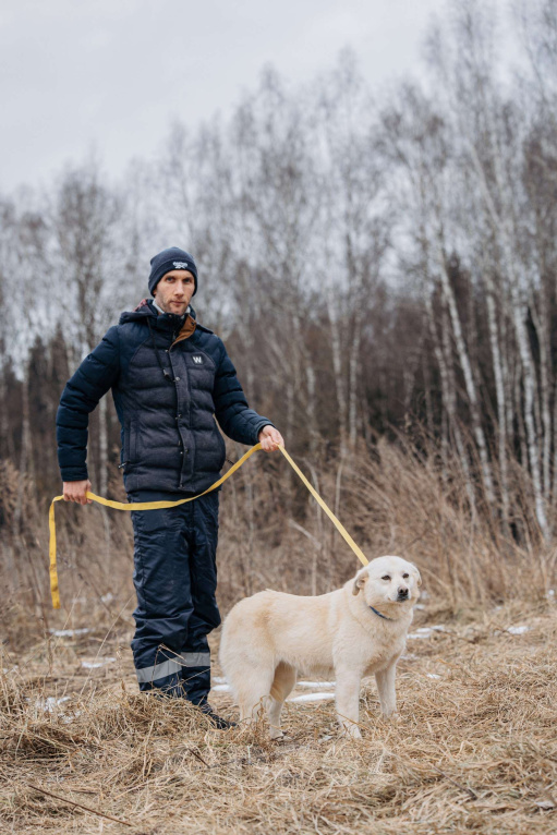 Собаки в Москве: Компаньон Девочка, Бесплатно - фото 7